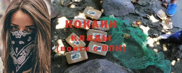 тгк Каменногорск