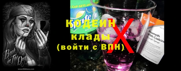крисы Иннополис