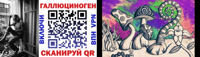 Галлюциногенные грибы прущие грибы  Купить где  Клин 