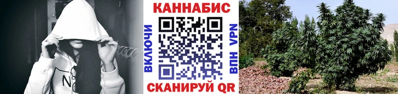 Конопля планчик  Купить где  Клин 